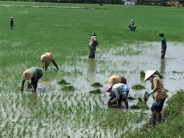 Đạp xe khám phá 09 cửa sông Cửu Long