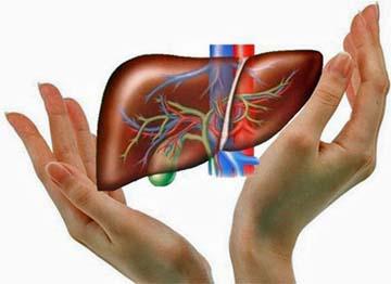Người bị gan nhiễm mỡ nên kiêng gì ?