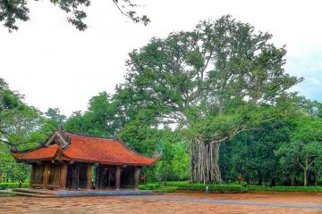 DU LỊCH THANH HÓA - SUỐI CÁ THẦN CẨM LƯƠNG - VƯỜN THÚ SAFARI - ĐẢO CHÈ THANH CHƯƠNG