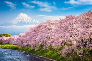 Tokyo – Kamakura - Núi Phú Sĩ - Yokohama – Narita