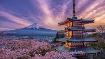 TOUR DU XUÂN 2020 NHẬT BẢN: TOKYO - PHÚ SĨ - NAGOYA - KYOTO - OSAKA