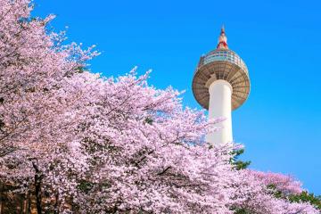 Du Lịch Hàn Quốc 2020(Mới) SEOUL – ARA WATERWAY – ĐẢO NAMI  EVERLAND – HOÀNG CUNG(5N4Đ)