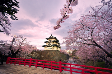 DU XUÂN NHẬT BẢN - CUNG ĐƯỜNG VÀNG(Tokyo – Núi Phú Sĩ – Kyoto – Osaka – Shirakawago)