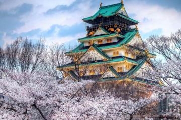 NGÀY 3: HAKONE - HỒ ASHINO - TOKYO (Ăn sáng, trưa, tối)
