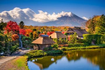 NGÀY 3: TOKYO - FUJI - SHIZUOKA - TOYOHASHI (Ăn sáng, trưa, tối)
