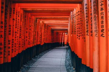 NGÀY 4: KYOTO - OSAKA (Ăn sáng, trưa, tối)