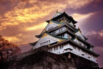 NGÀY 5: OSAKA - CITY TOUR (Ăn sáng, trưa, tối)