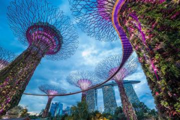 NGÀY 03: GARDEN BY THE BAY – SHOPPING ORCHARD   