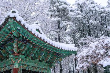 TỔI NGÀY 01 : TP.HCM - SEOUL (Nghỉ đêm trên máy bay)