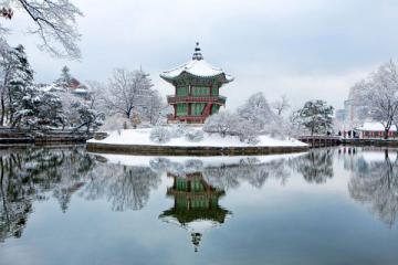 NGÀY 2: SEOUL - CITY TOUR (Ăn sáng, trưa, tối)
