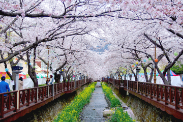 Trước ngày 1:  TP.HỒ CHÍ MINH – SEOUL (HÀN QUÔC)