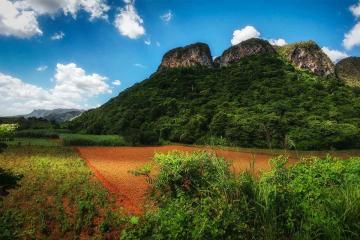  NGÀY 4: HAVANA - PINAR DEL RIO – CIGAR FACTORY – VINALES VALLEY – HAVANA (Ăn ba bữa)