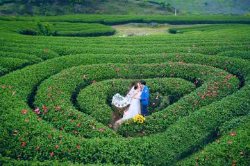 NGÀY 03: ĐỒI CHÈ TRÁI TIM – MỘC CHÂU – NINH BÌNH (Ăn sáng, trưa, chiều)