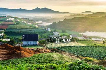 NGÀY 2: THAM QUAN ĐÀ LẠT (Ăn sáng, trưa, chiều)