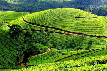 NGÀY 05: ĐIỆN BIÊN - SƠN LA - MỘC CHÂU – KDL HAPPY LAND (Ăn sáng, trưa, tối)