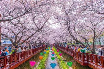 NGÀY 2: SEOUL - CITY TOUR - CÔNG VIÊN YEOUIDO (Ăn sáng, trưa, tối)