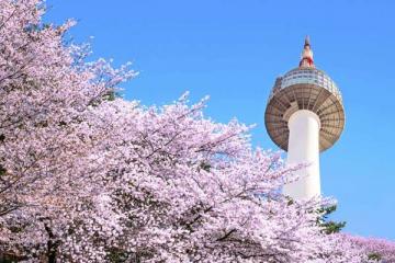 NGÀY 5: SEOUL - N SEOUL TOWER - HANOK BUKCHON - TP.HCM (Ăn sáng, trưa)