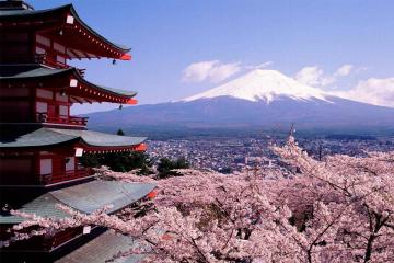 Ngày 3 : Kawaguchi – Yokohama – Narita Gia (Ăn sáng trên máy bay, trưa, tối) 