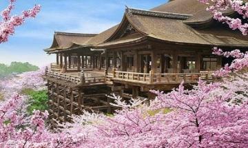 Ngày 1 (31/03) : TP HCM – KANSAI