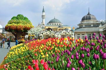 NGÀY 03: CÔNG VIÊN EVERLAND