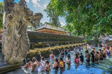 NGÀY 2: KINTAMANI - BALI SWING - ĐỀN SUỐI THIÊNG TAMPAK SIRING (Ăn sáng, trưa, tối)